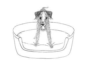 Max in basket figure image