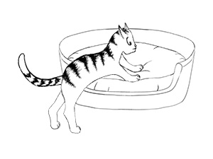 Schr&ouml;dinger in basket figure image
