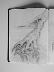 Tree Roots pencil sketch IV image