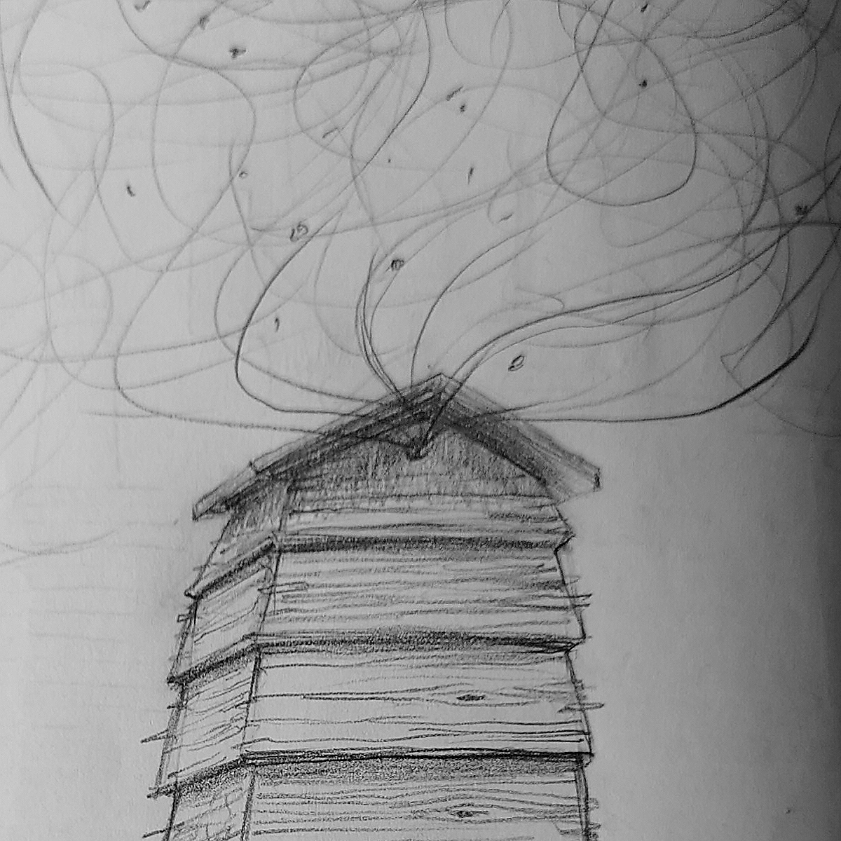 Beehive pencil sketch I image